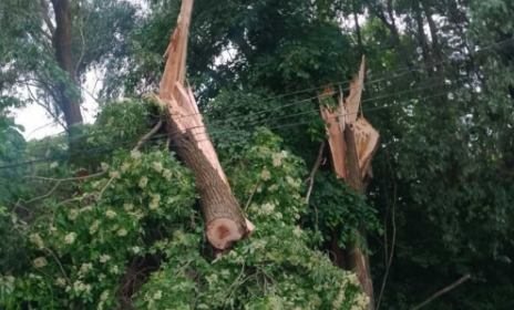Відключення світла на Київщині: ДТЕК відновлює електропостачання після негоди