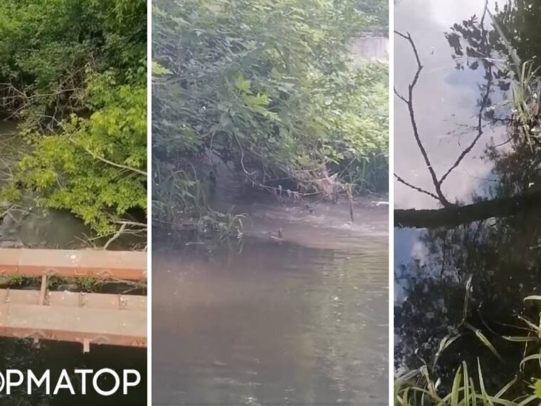 Масовий скид нечистот у річку Бучанка на Київщині: стоки йдуть у Київське море