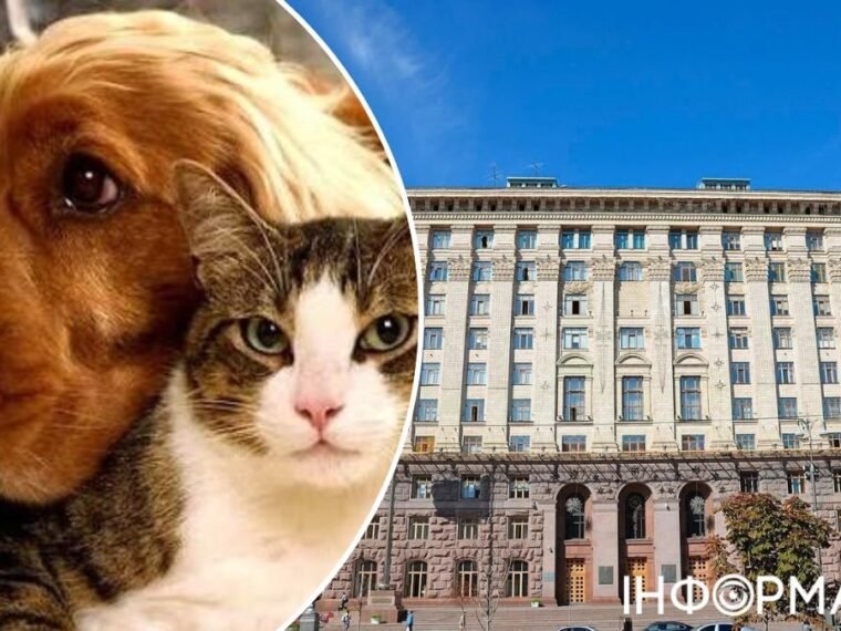Київрада не ухвалила нові правила для власників тварин: що пропонували та чому їх розкритикували