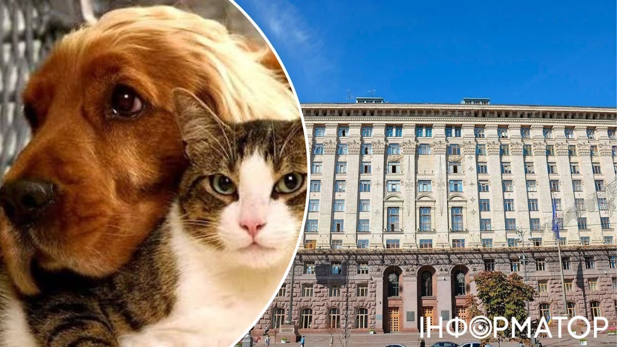 Київрада не ухвалила нові правила для власників тварин: що пропонували та чому їх розкритикували