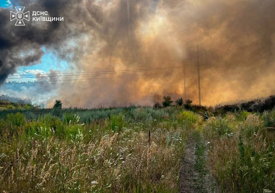 Київщина: ліквідація масштабної пожежі у Нових Петрівцях