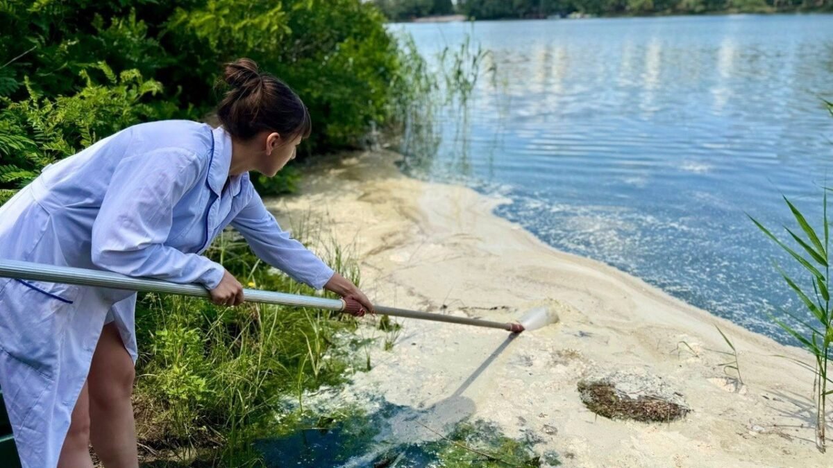 На Осокорках берег озера Небреж вкрився піною: фахівці з’ясовують причини
