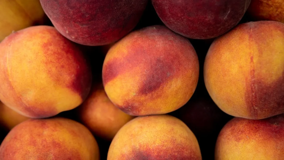 Сезонні ярмарки в Києві 28 липня – 2 серпня: де шукати свіжі продукти