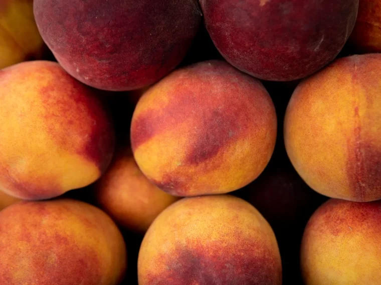 Сезонні ярмарки в Києві 28 липня – 2 серпня: де шукати свіжі продукти