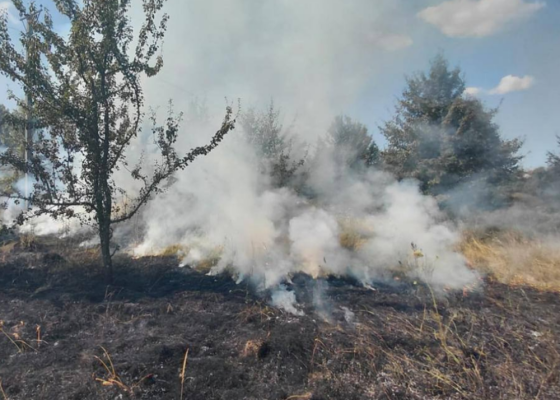 Пожежа на вулиці Лісничій у Голосіївському районі: наслідки падіння БпЛА