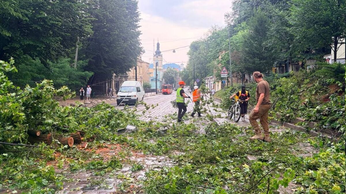 Гроза в Києві 29 червня: наслідки негоди, повалені дерева та підтоплення
