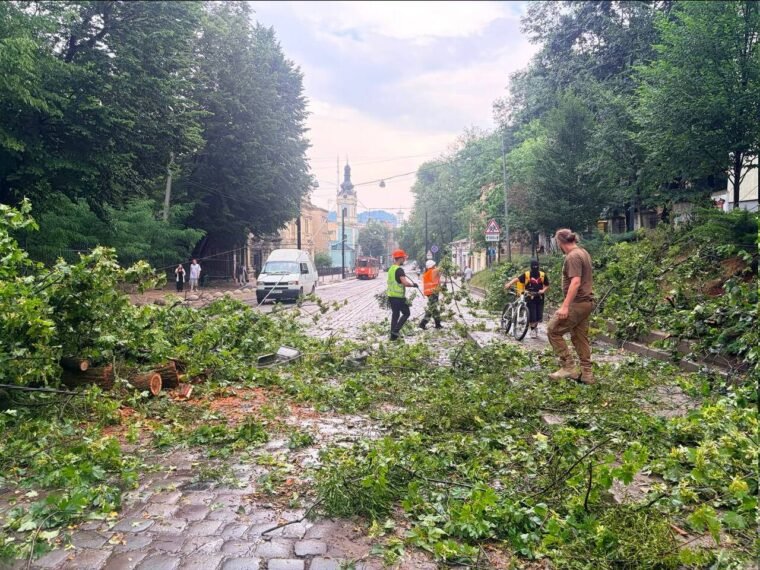 Гроза в Києві 29 червня: наслідки негоди, повалені дерева та підтоплення
