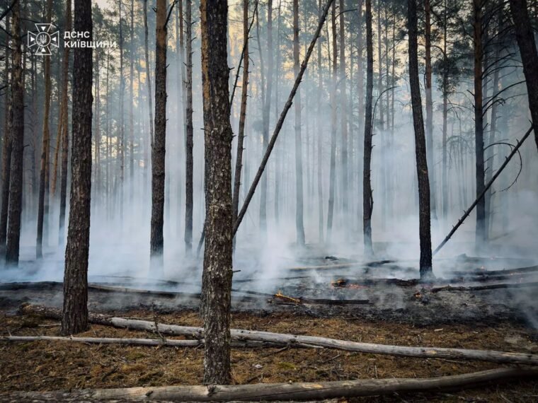 Рятувальники гасять масштабну пожежу лісу під Києвом