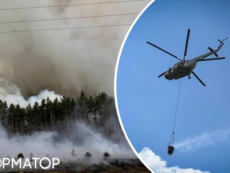 Масштабна лісова пожежа під Вишгородом: залучена авіація ДСНС та рятувальники з кількох областей