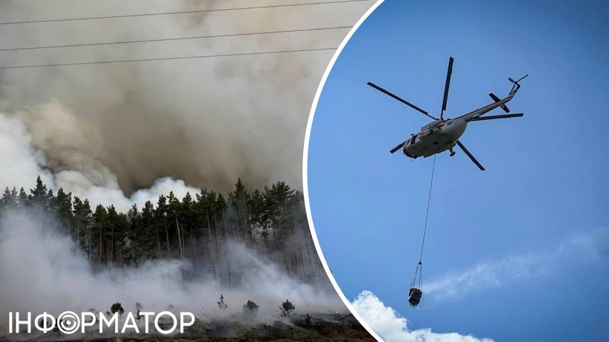 Масштабна лісова пожежа під Вишгородом: залучена авіація ДСНС та рятувальники з кількох областей
