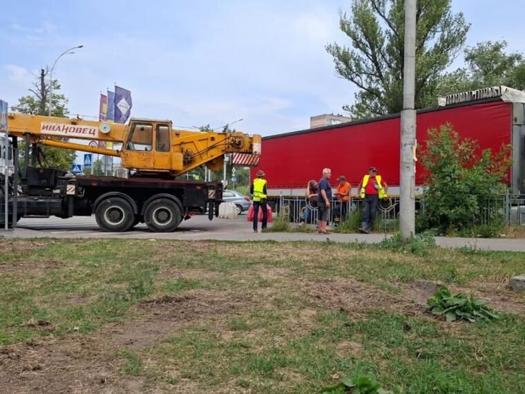 КМДА заперечує відновлення вирубування дерев на Теремках