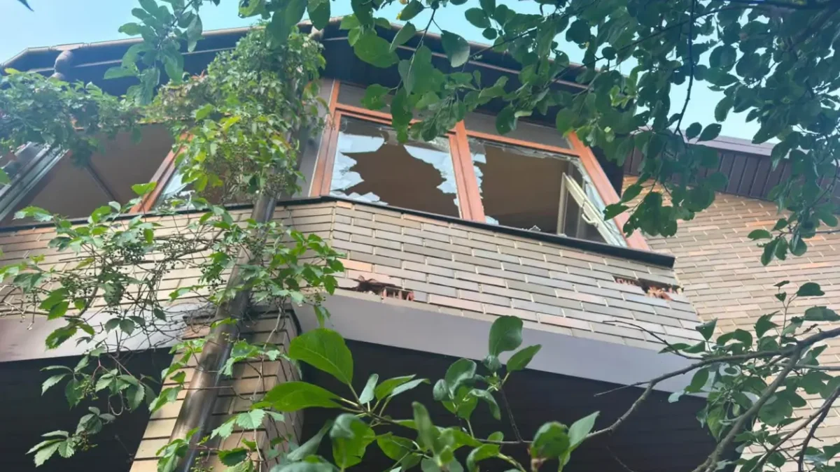 У Бориспільському районі Київщини ворожий БпЛА вбив 14-річну дівчинку