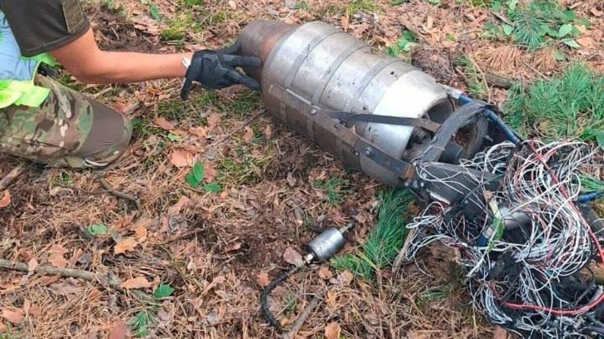 Уламки російського дрона спричинили пожежу в лісопарку Голосіївського району