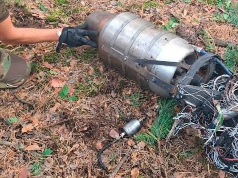 Уламки російського дрона спричинили пожежу в лісопарку Голосіївського району