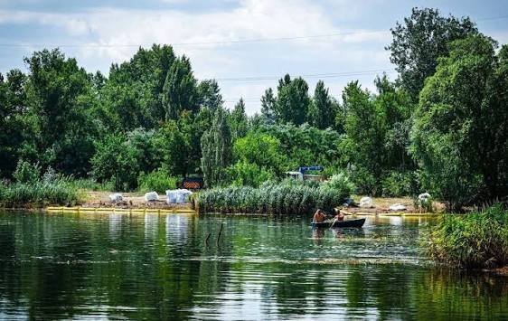 Річка Борщагівка на Київщині забруднена важкими металами та кислотами після атаки РФ