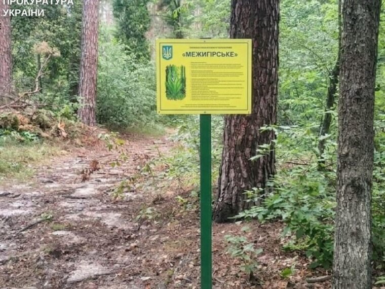Прокуратура через суд встановлює межі заказника «Межигірське» у Києві