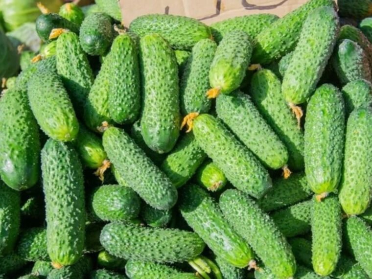 Продуктові ярмарки в Києві на 3 та 4 жовтня: адреси та розклад
