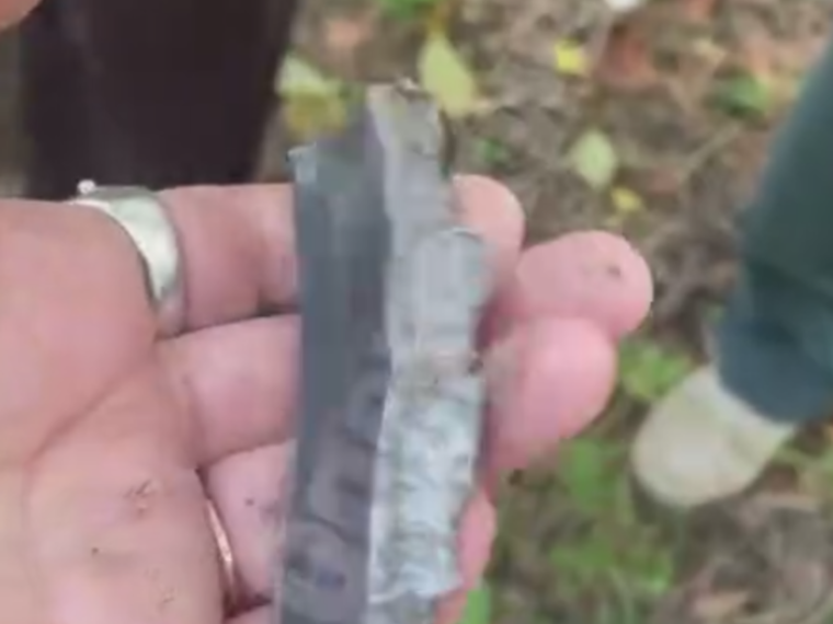 У Голосіївському лісі на людей впали уламки дрона: постраждалих немає