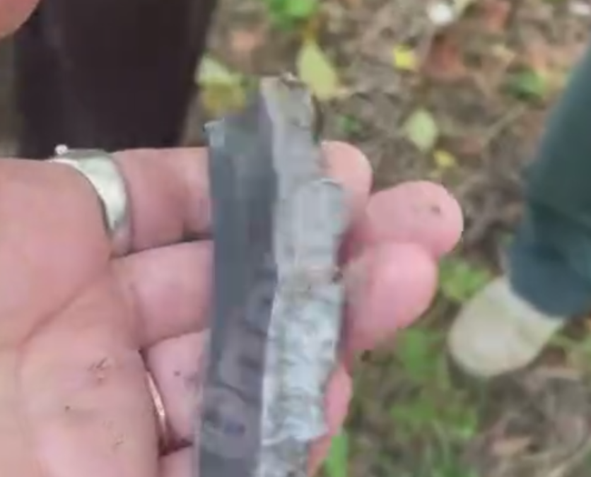 У Голосіївському лісі на людей впали уламки дрона: постраждалих немає